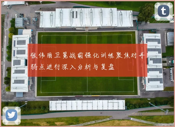 张伟丽卫冕战前强化训练聚焦对手弱点进行深入分析与复盘