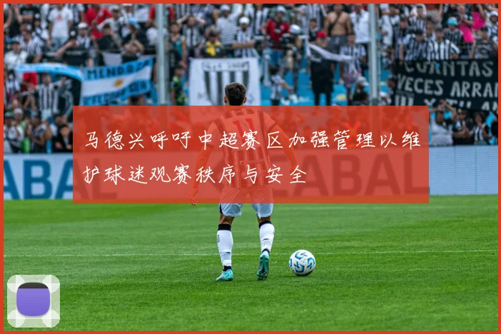 马德兴呼吁中超赛区加强管理以维护球迷观赛秩序与安全